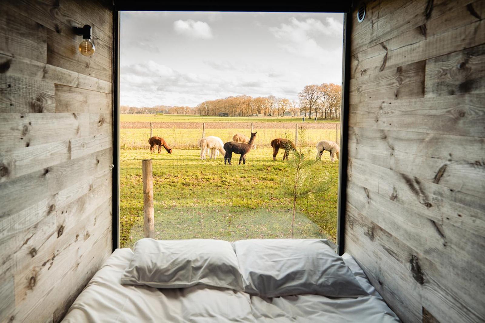 In De Hei Bed and Breakfast Mariahout Exteriör bild